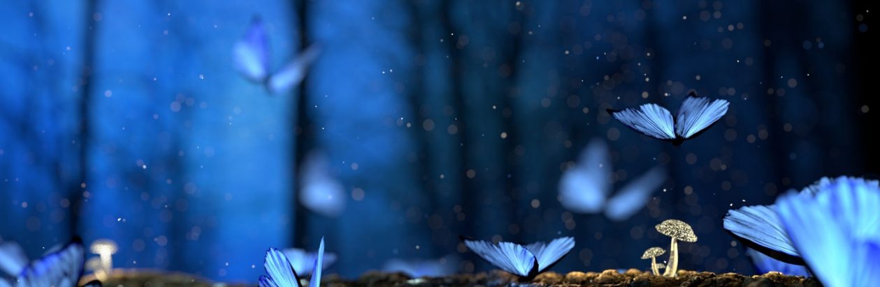 The Butterfly Whisperer